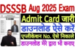 DSSSB Admit Card 2025